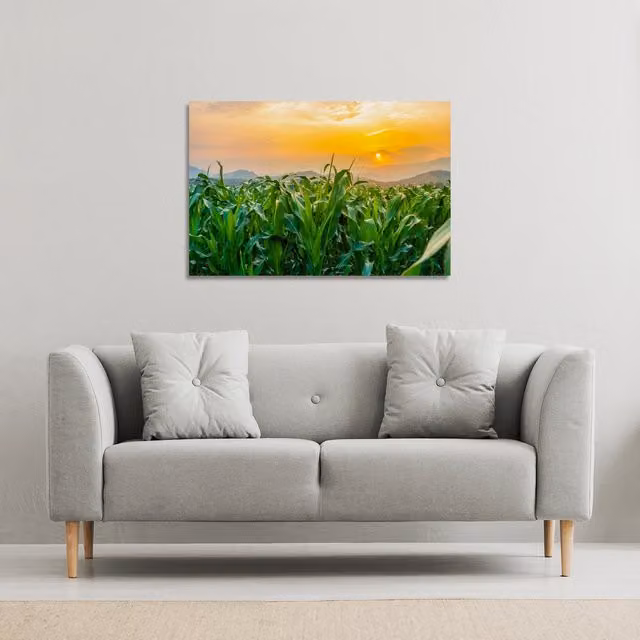 Benjamin Tate Design LTD Green Corn Field Landscape Canvas Print, W: 61 cm, H: 41 cm