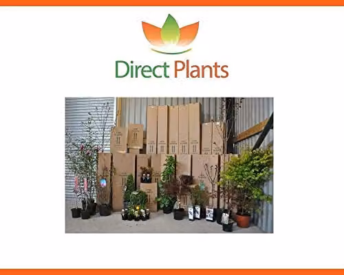 Direct Plants The Wildlife Selection Hardy Shrub Garden Border Mix, Pack of 12 Green Ornamental Plants in 3 Litre Pots