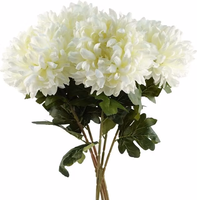 Pegdev Pack of 6 White Reflex Chrysanthemum Artificial Silk Flowers, 75 cm – 1