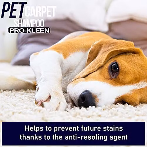 Pro-Kleen Pet Carpet and Upholstery Extraction Shampoo Solution with Reactivating Odour Treatment, Pink, 5 l – 2