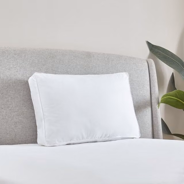 Catherine Lansfield Luxury Box Cotton Pillow in White, W/D/H: 60 x 40 x 10 cm – 1