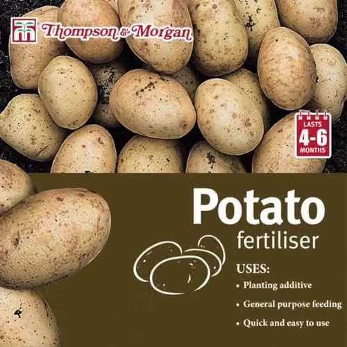 Thompson & Morgan Potato Fertiliser 16-7-15 High Potash Granulate, 100 g – 2