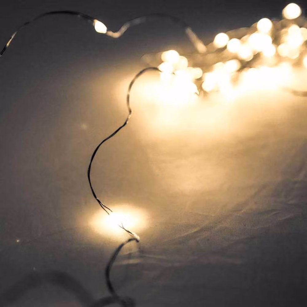 Lemon Pavilion 100 LED Warm White Battery Micro Lights with 10m Silver Metal Wire – 2