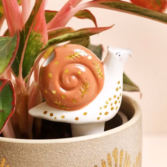 Lisa Angel Ceramic Snail Plant Watering Spike in Brown, White and Gold