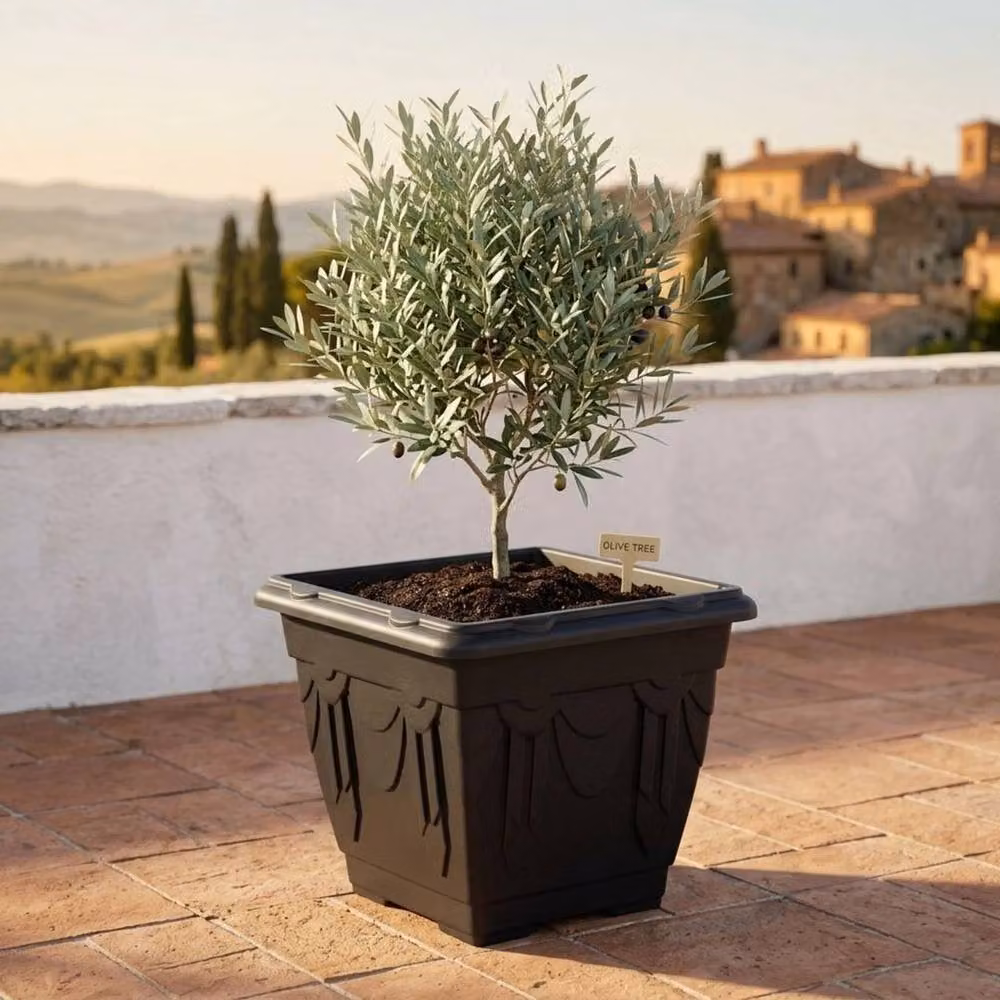Kelvenix Black Venetian Square Planter 30cm Garden Pot for Flowers and Herbs – 2