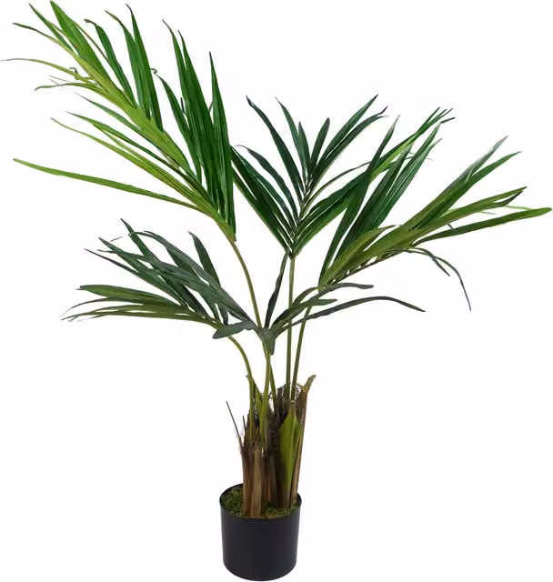 Green Kentia Palm Artificial Tabletop Tree