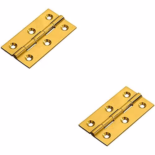 Loops 2 Pack Polished Brass Concealed Cupboard Hinges W/D/H: 64 x 35 x 2 mm