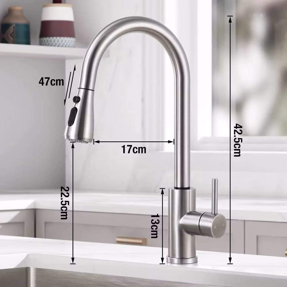 PAWNORA 360 Kitchen Sink Tap in Silver with Pull Out Spray Mixer and Single Lever Control – 2
