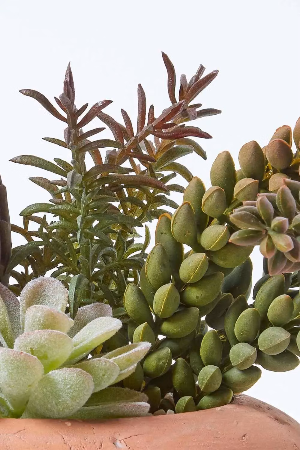 Homescapes Artificial Succulent Arrangement in a Round Ceramic Pot, Green and Brown, H 15 cm x W 15 cm x D 15 cm – 4