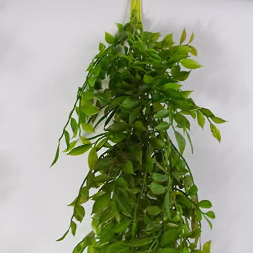 Leaf Design Hanging String of Pearls Artificial Plant, Dark Green, 100 cm – 4