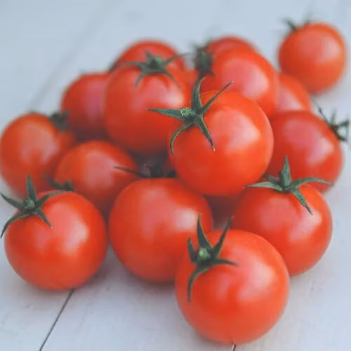 Thompson & Morgan Gardener's Delight Cherry Tomato Seeds, Red Cordon Variety, 1x Seed Packet – 2