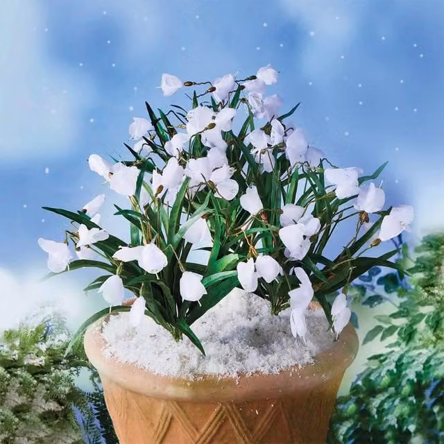 Gainsborough White Multicolour Artificial Snowdrop Flower Picks, Set of 3, Height: 35 cm – 1