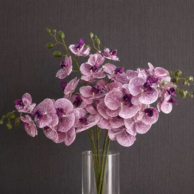 Botanik Leaf Purple Phalaenopsis Orchid Artificial Stem Flowers, Pack of 6, Height: 100 cm – 1
