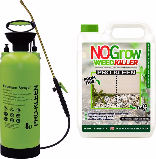 Pro-Kleen Manual Pressure Pump Sprayer in Green, 8 l