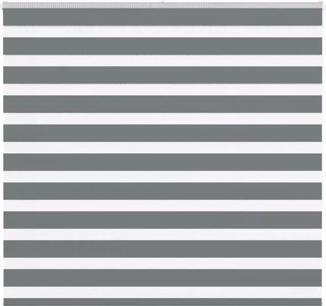 Berkfield Home Zebra Blind in Dark Grey Polyester, W: 155 cm, H: 150 cm