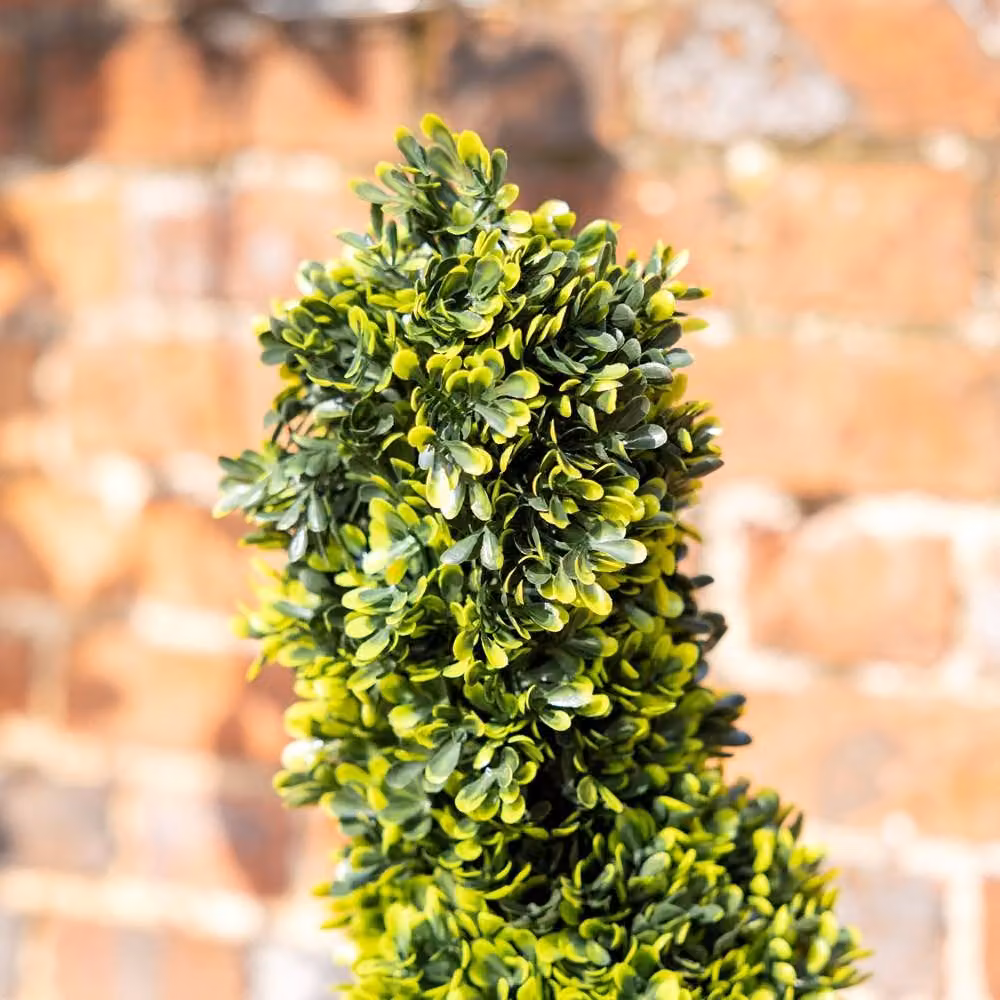 Primrose Artificial Grass Spiral Swirl Topiary Bush, Green, Height: 150 cm – 2