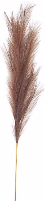 KDMK Large Taupe Faux Pampas Grass Stem in Brown