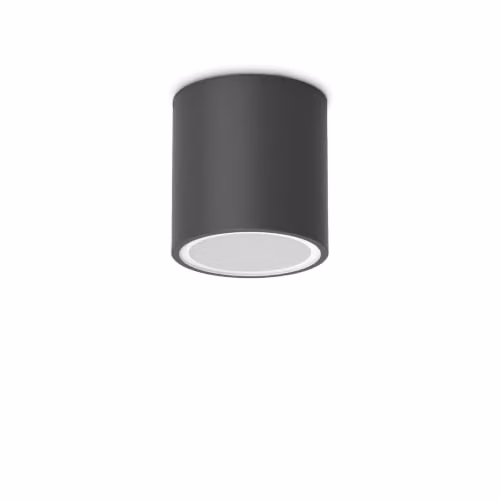 Netlighting Techo Black Outdoor Surface Mounted Downlight IP54 – 1