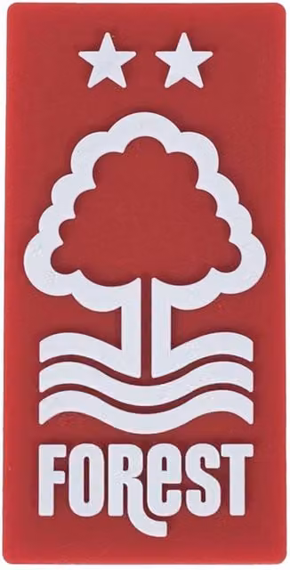 Nottingham Forest FC 3D Rectangular Fridge Magnet in Red – 1