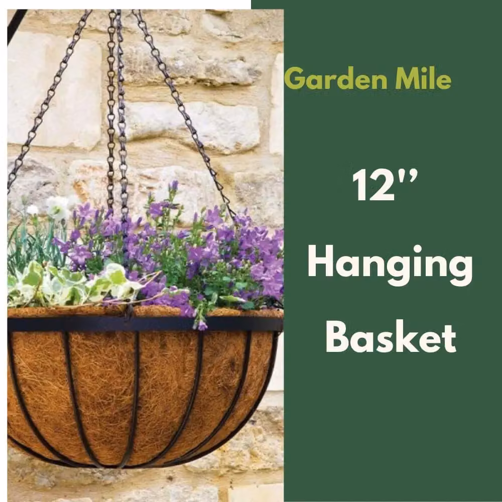 Marco Paul Beige Hanging Basket Planter, Diameter: 30.48 cm – 3