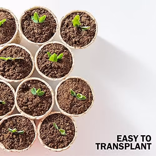 Keplin 96 Pack Biodegradable Fibre Seedling Pots in Beige for Plant Cultivation – 5