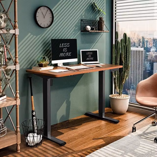 FlexiSpot EF1 Height Adjustable Standing Desk in Silver