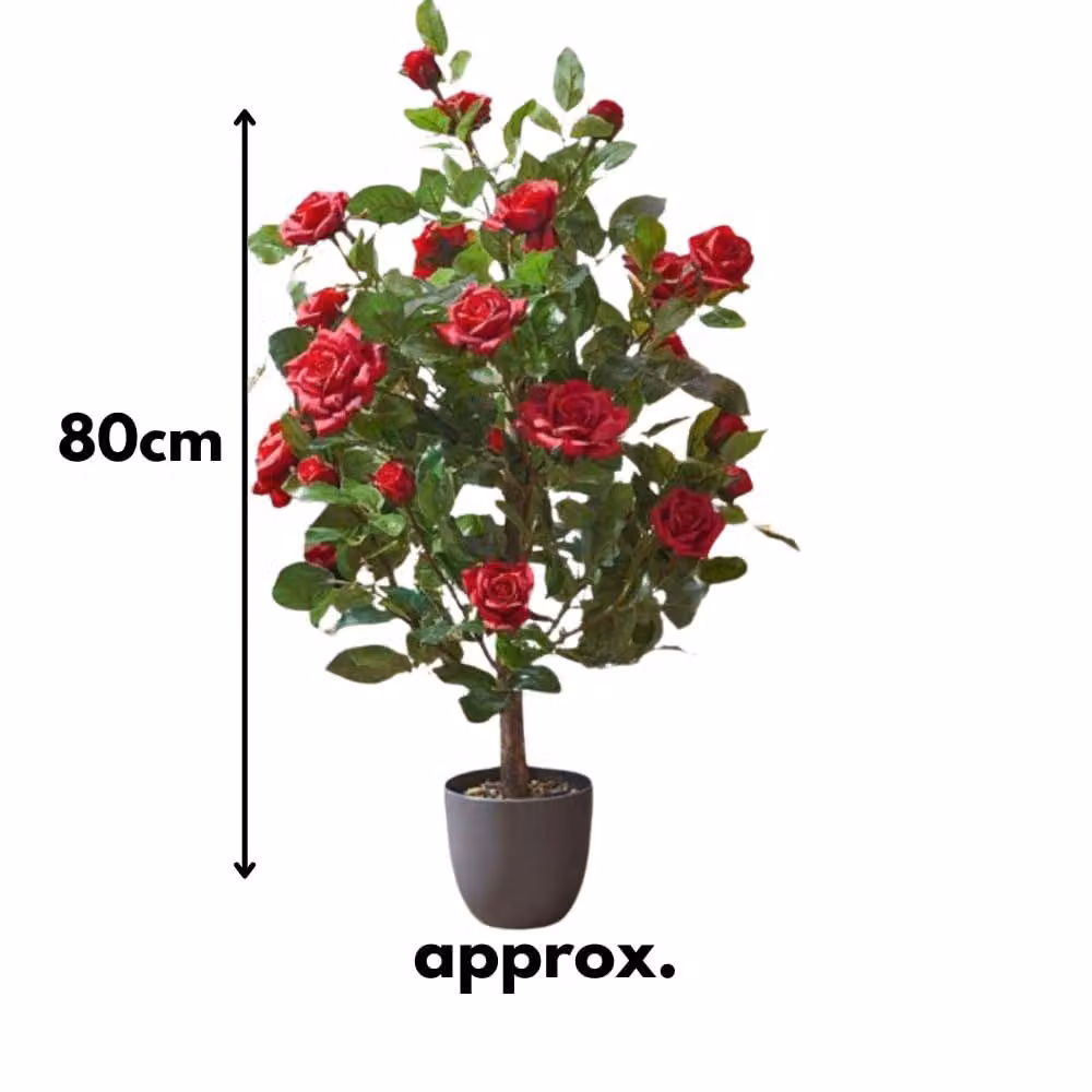 Marco Paul Red Artificial Rose Plant, 80 cm Height – 3