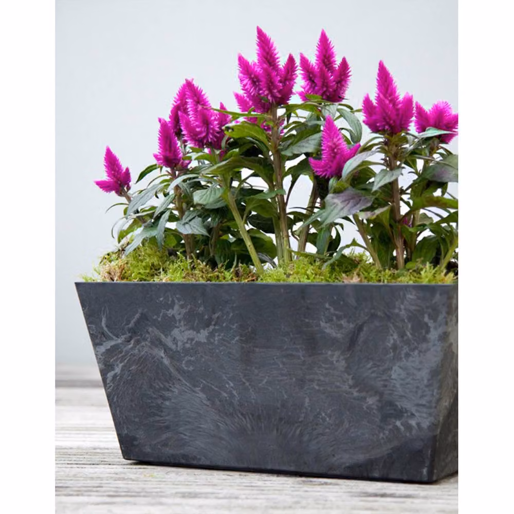 Artstone Ella Balcony Trough Planter, Black, W55 x D17 x H17 cm – 2