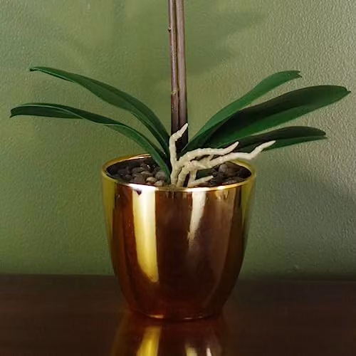 Botanik Potted Artificial Orchid Plant in Pink and Gold, Height: 46 cm – 3