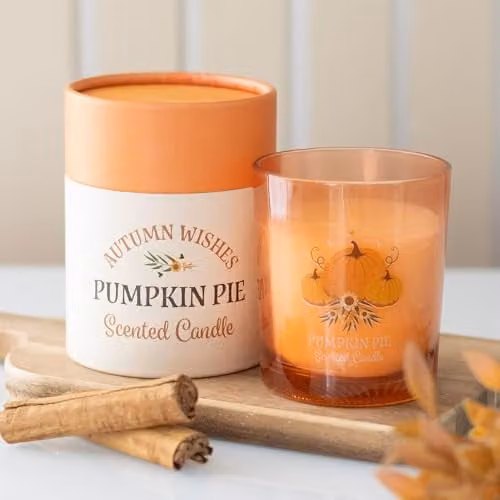 Garden Greatness Autumn Wishes Pumpkin Pie Scented Votive Candle in Orange