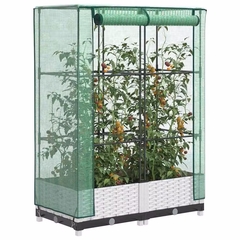 Berkfield Home Raised Bed with Greenhouse Cover in White Rattan Look, W/D/H: 80 x 40 x 123 cm