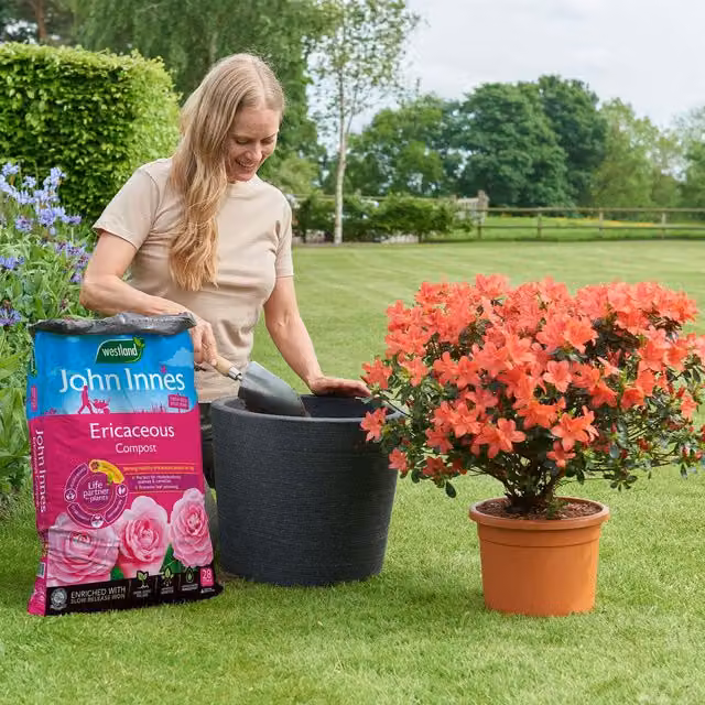 Westland Multicolour Potting Soil