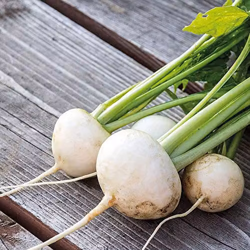 Thompson and Morgan Rapa De Lodi Turnip Seeds, White, 5000 Seeds – 2