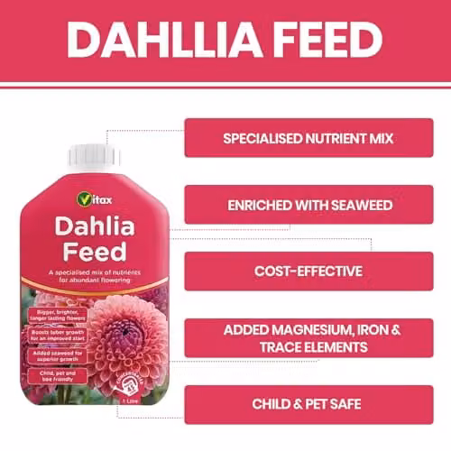 Vitax Organic Dahlia Liquid Feed 1L – 3