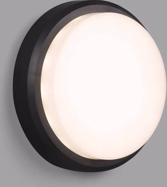 Faro Tom Outdoor LED Wall and Ceiling Lamp in Dark Grey