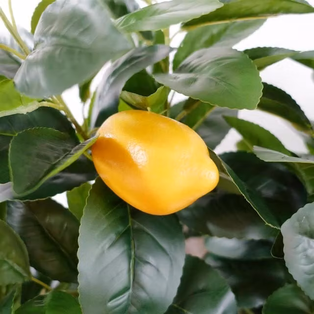 Botanik Leaf Design Artificial Lemon Tree in Black Plastic Pot, Height: 150 cm