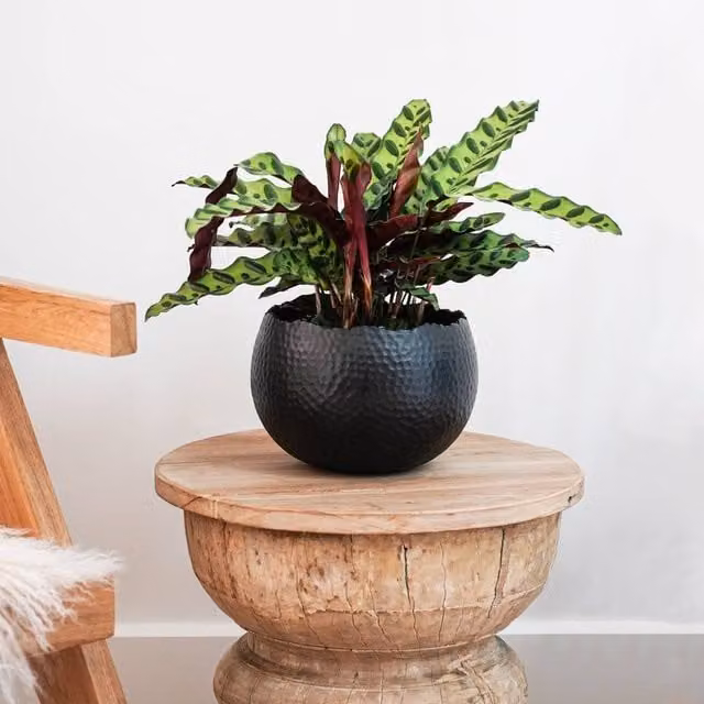 Ivyline Hammered Metal Bowl in Black and Copper, H: 21 cm, D: 30 cm – 1