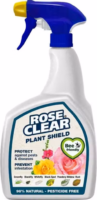 Evergreen Rose Clear Plant Shield Spray Pesticide Free Bug Killer and Fungus Control, 800ml