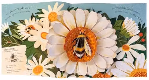 Little Tiger Minibeasts Nature Pop-ups Multicolour Paper Book – 2