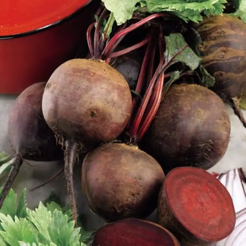 Thompson & Morgan Beetroot Globe Seeds, Dark Crimson, 4 Packets