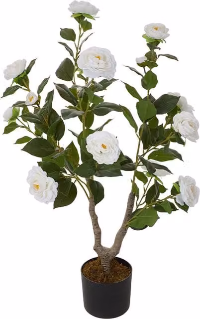 Livingandhome Potted Artificial Camellia Tree in White and Green, Height: 90 cm