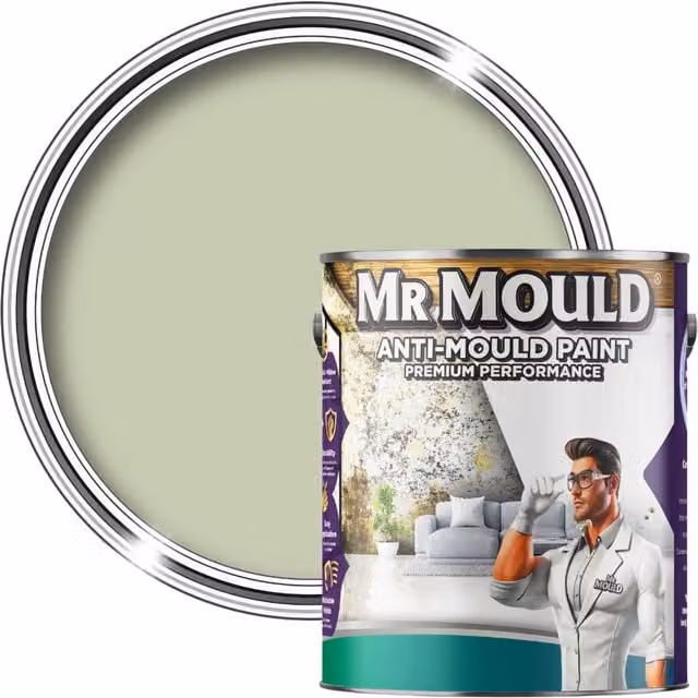 MR MOULD Anti-Mould Paint for Interior Walls and Ceilings, Sage Green, 5L – 1