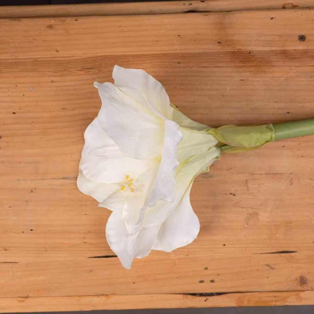 Lemon Pavilion Classic Amaryllis Artificial Flower Single Stem in White, W35 x D35 x H81 cm – 2