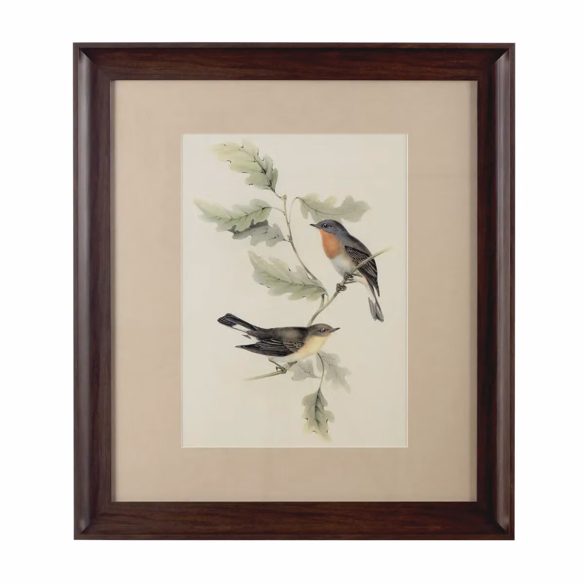 Orsina Framed Birds Illustration Wall Art in Brown – 2