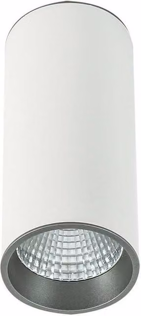 Netlighting Modern Technical LED Surface Mounted Cylinder Light in White and Grey, 4000K Cool White, 820lm