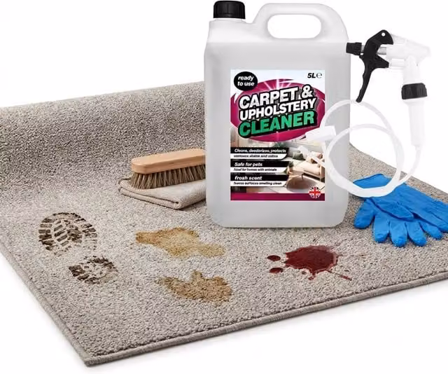 Storm Trading Group Carpet and Upholstery Cleaner with Long Hose Trigger, Clear, 4 x 5L