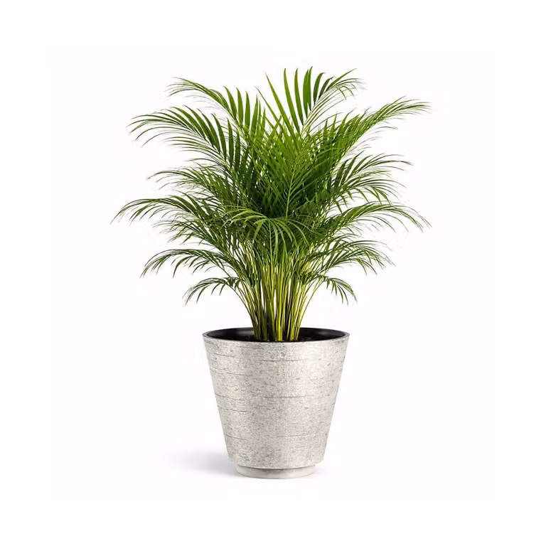 Simpa Hudson Textured Effect Plastic Planters, Set of 2, Beige, Medium