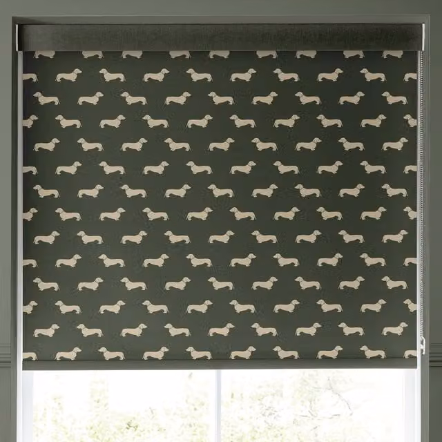 Emily Bond Peggy Translucent Made to Measure Roller Blind in Fern Green