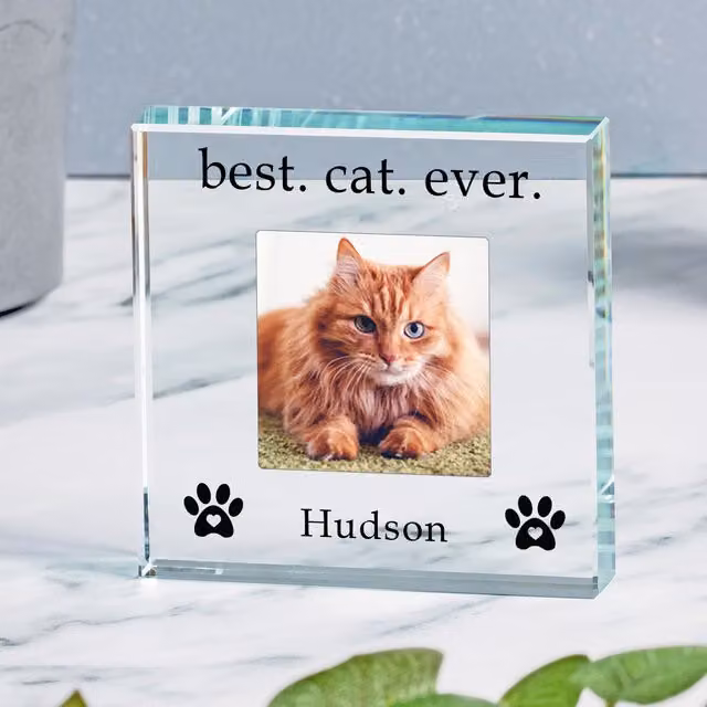 Uniqueful Personalised Best Cat Ever Glass Token for Friends in Transparent and Beige