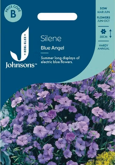 Johnsons Seeds Blue Angel Silene Flower Seeds, Blue and Purple